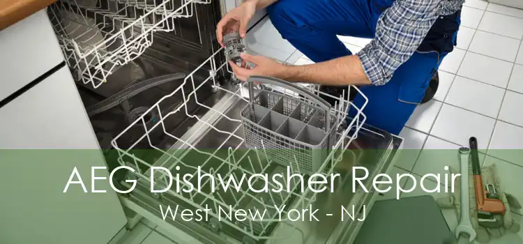 AEG Dishwasher Repair West New York - NJ