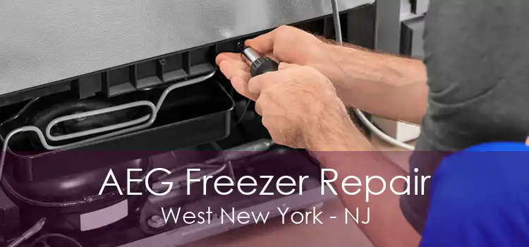 AEG Freezer Repair West New York - NJ