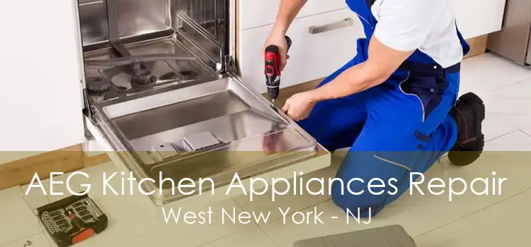 AEG Kitchen Appliances Repair West New York - NJ