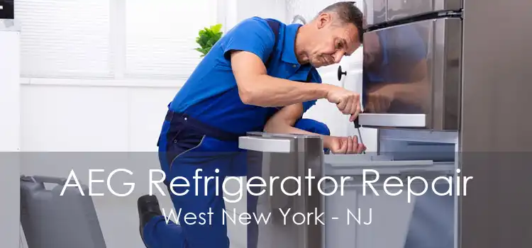 AEG Refrigerator Repair West New York - NJ