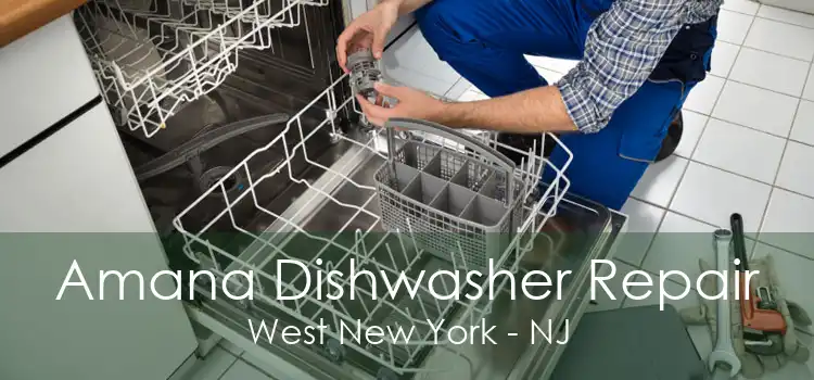 Amana Dishwasher Repair West New York - NJ