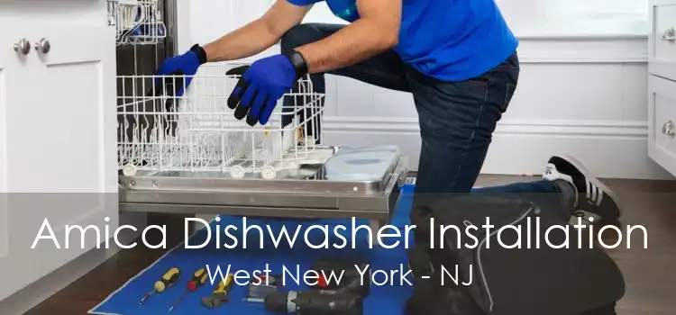 Amica Dishwasher Installation West New York - NJ