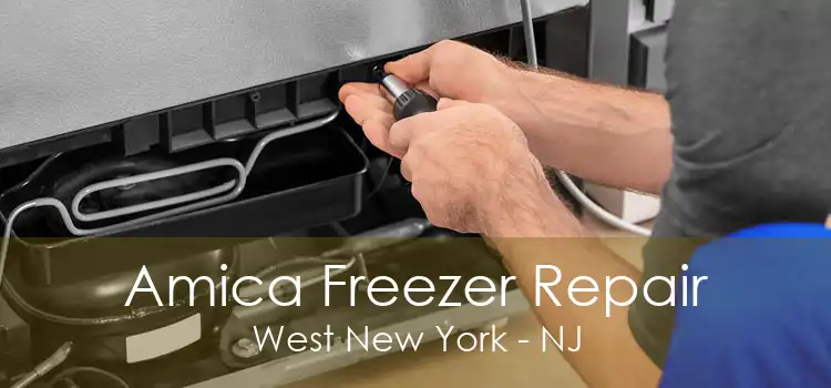 Amica Freezer Repair West New York - NJ