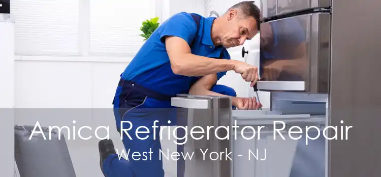Amica Refrigerator Repair West New York - NJ