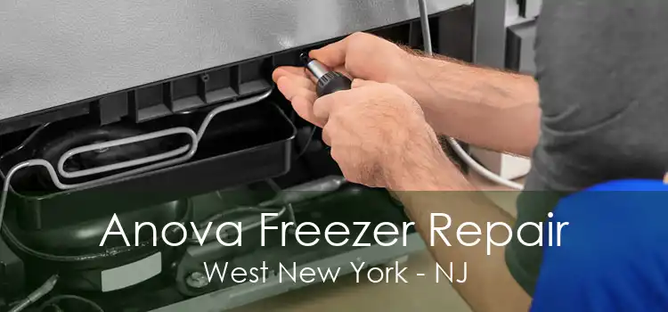Anova Freezer Repair West New York - NJ