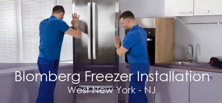 Blomberg Freezer Installation West New York - NJ