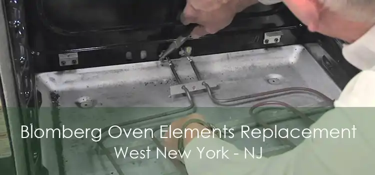 Blomberg Oven Elements Replacement West New York - NJ