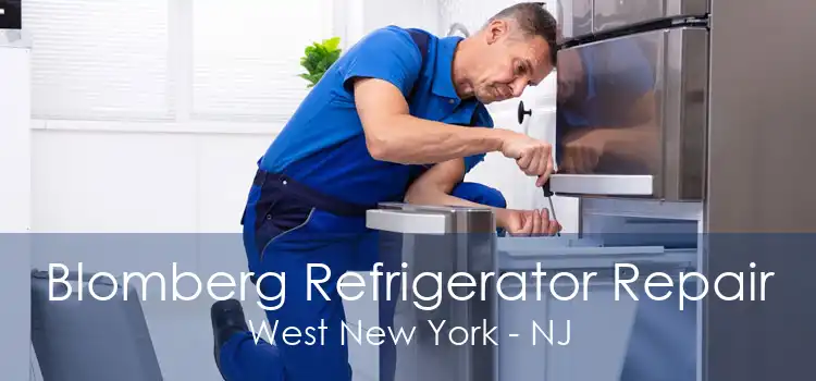 Blomberg Refrigerator Repair West New York - NJ
