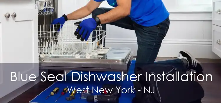 Blue Seal Dishwasher Installation West New York - NJ
