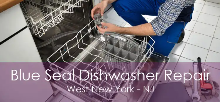 Blue Seal Dishwasher Repair West New York - NJ