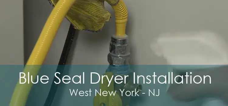 Blue Seal Dryer Installation West New York - NJ