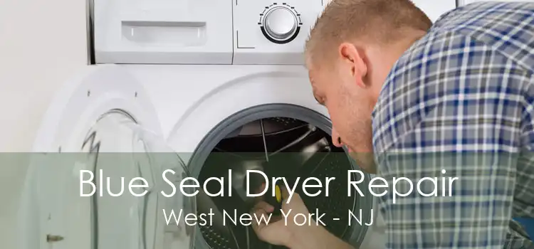 Blue Seal Dryer Repair West New York - NJ
