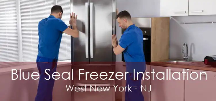 Blue Seal Freezer Installation West New York - NJ