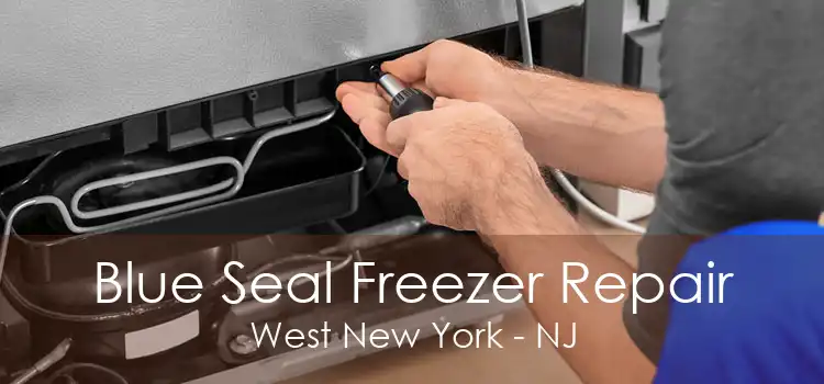 Blue Seal Freezer Repair West New York - NJ