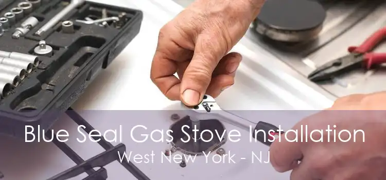 Blue Seal Gas Stove Installation West New York - NJ