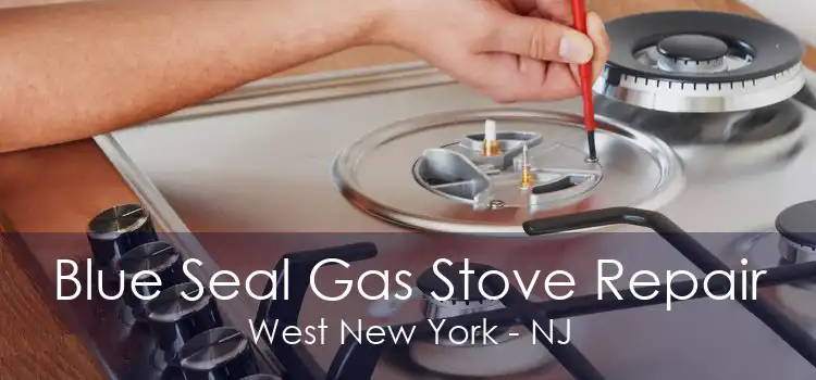 Blue Seal Gas Stove Repair West New York - NJ