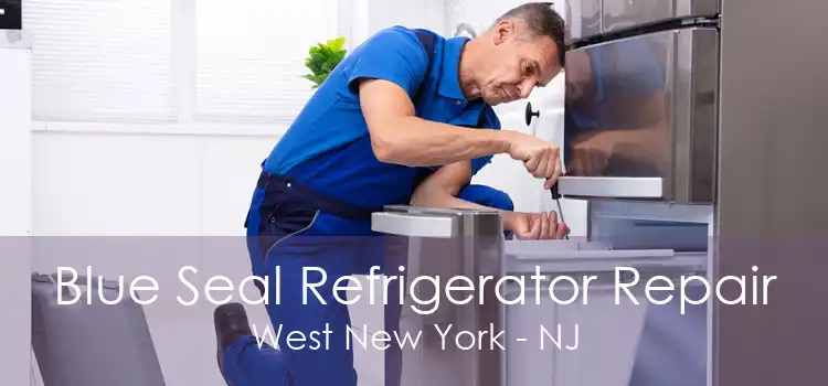 Blue Seal Refrigerator Repair West New York - NJ