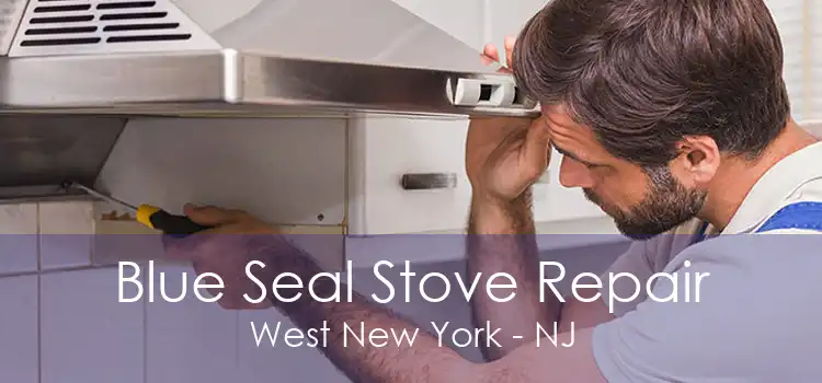 Blue Seal Stove Repair West New York - NJ