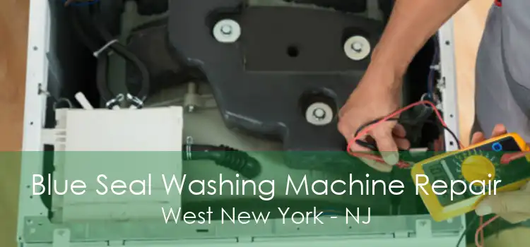 Blue Seal Washing Machine Repair West New York - NJ