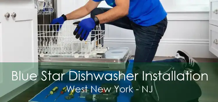 Blue Star Dishwasher Installation West New York - NJ