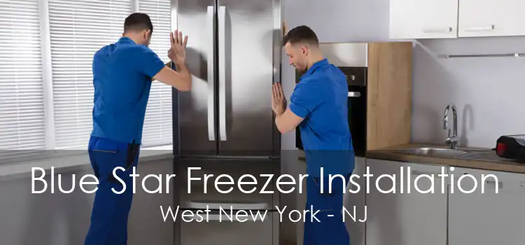 Blue Star Freezer Installation West New York - NJ