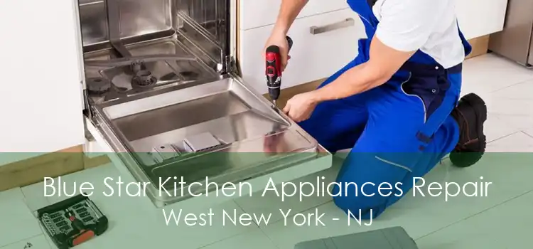 Blue Star Kitchen Appliances Repair West New York - NJ
