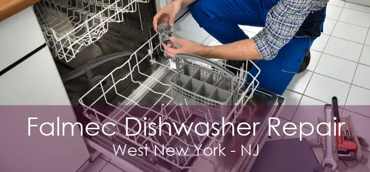 Falmec Dishwasher Repair West New York - NJ