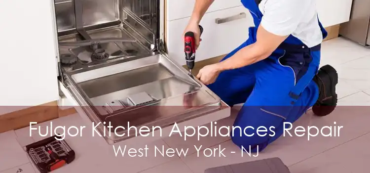 Fulgor Kitchen Appliances Repair West New York - NJ