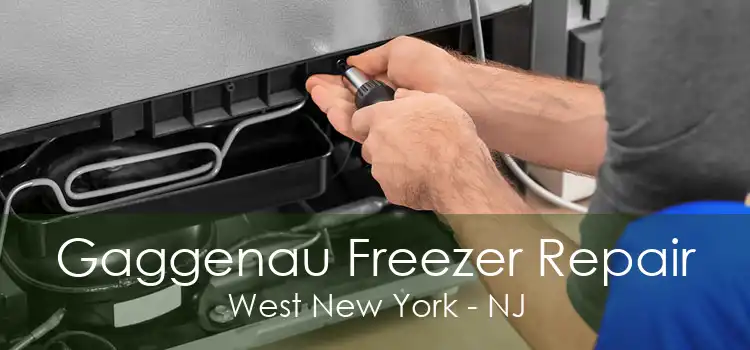 Gaggenau Freezer Repair West New York - NJ