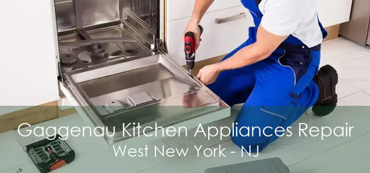 Gaggenau Kitchen Appliances Repair West New York - NJ
