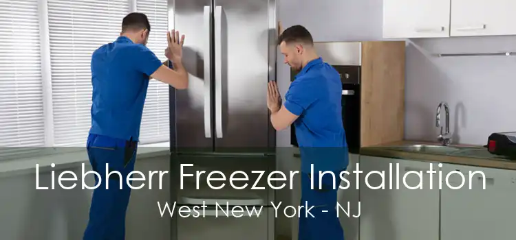 Liebherr Freezer Installation West New York - NJ