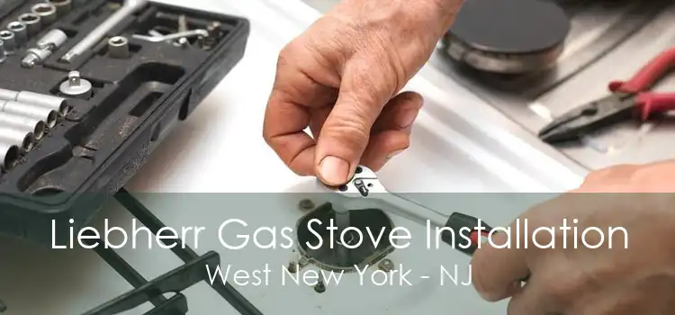 Liebherr Gas Stove Installation West New York - NJ
