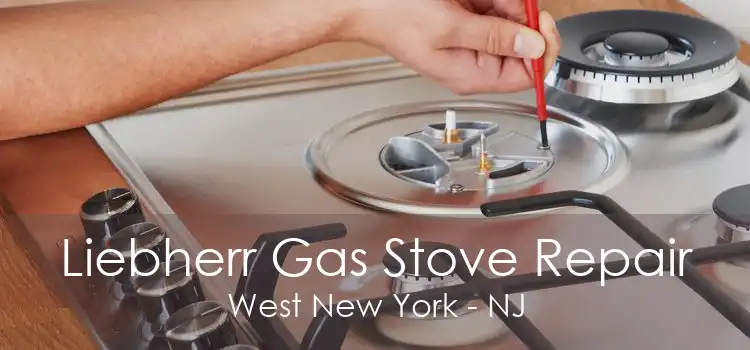Liebherr Gas Stove Repair West New York - NJ