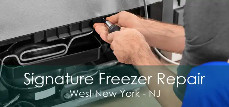 Signature Freezer Repair West New York - NJ