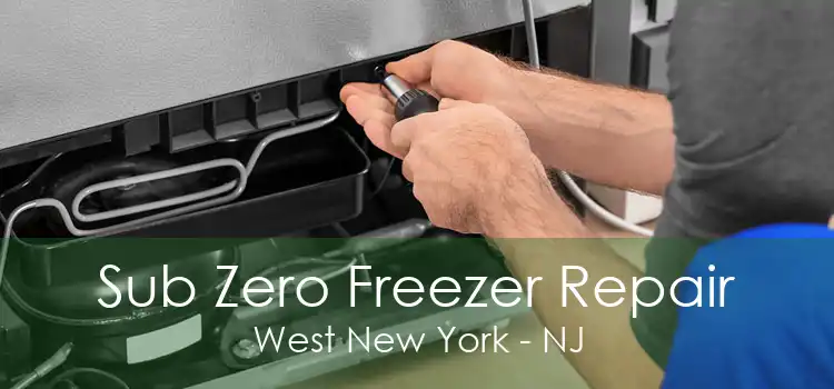 Sub Zero Freezer Repair West New York - NJ
